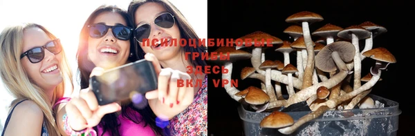 шишки Вязьма