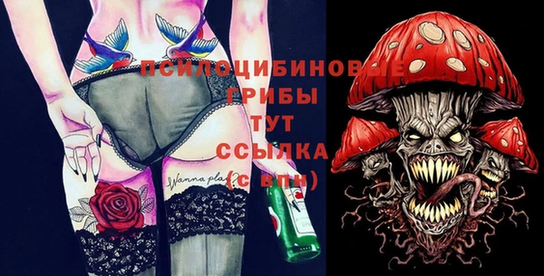 МДПВ Вязники