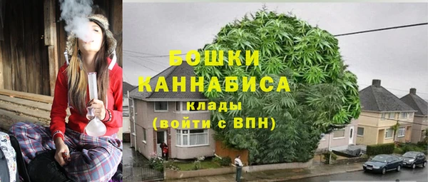 шишки Вязьма