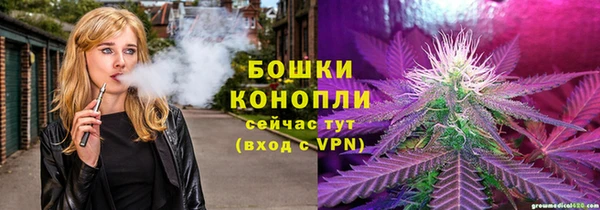 шишки Вязьма